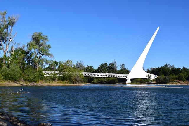 Sundial Bridge over a river surrounded by trees