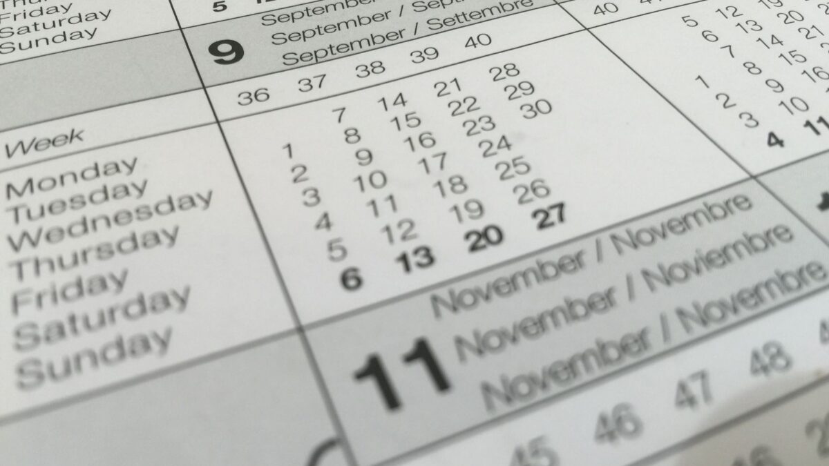 40 week timeline calendar